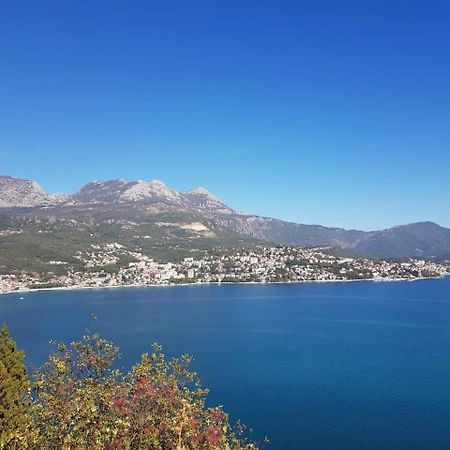 Apartment Miki Χέρτσεγκ Νόβι Εξωτερικό φωτογραφία